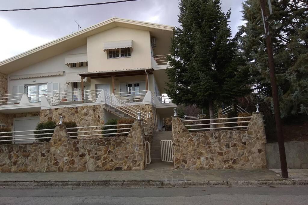 The Stone House Διαμέρισμα Κοζάνη Εξωτερικό φωτογραφία